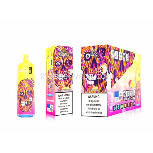 Vape Bang Disposable 12000puffs Suède en gros